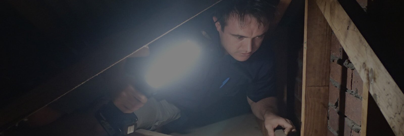 Building Inspector, Building and Pest Inspection, Brisbane.