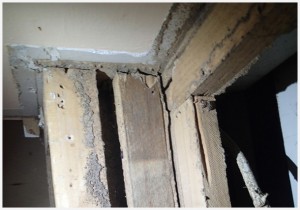 Termite-Damage